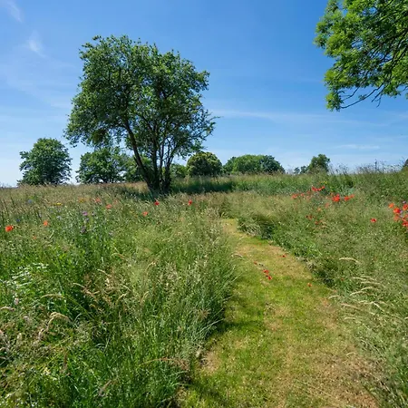 Arduenna Silva Ecologic Designer House *